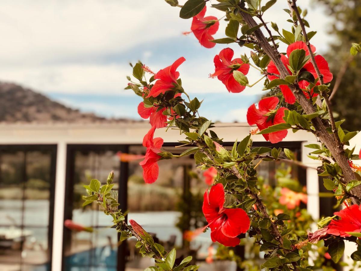 Arp Otel Dalyan
