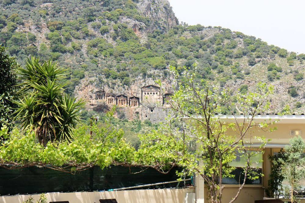 Arp 2* Dalyan